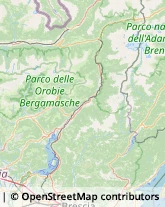 Trasporto Pubblico,24065Bergamo