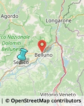 Articoli da Regalo - Dettaglio,32036Belluno