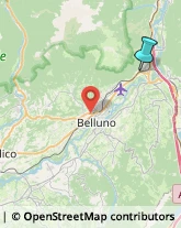 Articoli da Regalo - Dettaglio,32014Belluno