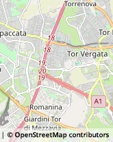 Via Vincenzo Manzini, 135,00173Roma