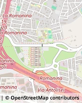 Via Pietro Bracci, 3,00133Roma