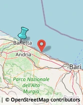 Carta da Parati - Dettaglio,70051Barletta-Andria-Trani