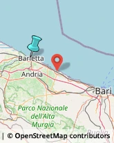 Carta da Parati - Dettaglio,76121Barletta-Andria-Trani