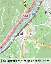 Via Valentini, 24,38060Calliano