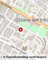 Viale S. Allende, 46,40064Ozzano dell'Emilia