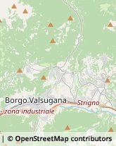 Via per Olle, 40,38051Borgo Valsugana