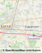 Lavatrici e Lavastoviglie - Riparazione,55100Lucca