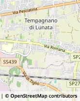 Via del Marginone, 649,55100Lucca