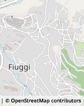 Via Armando Diaz, 288,03014Fiuggi