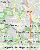 Via San Vitale, 108,20831Seregno