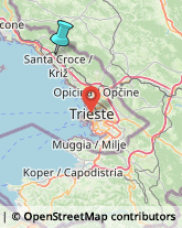 Otorinolaringoiatria - Medici Specialisti,34011Trieste