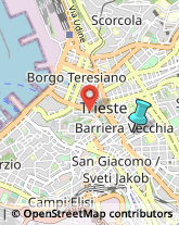 Consulenza Informatica,34129Trieste