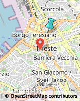 Consulenza Informatica,34133Trieste