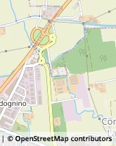 Via Toscana, 50,26854Cornegliano Laudense