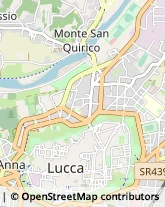 Elettrauto,55100Lucca