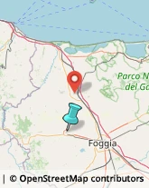 Articoli da Regalo - Dettaglio,71036Foggia