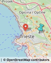 Giornalai,34128Trieste