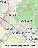 Ottica, Occhiali e Lenti a Contatto - Dettaglio,50019Firenze