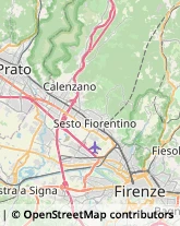 Via Pietro Metastasio, 27,50124Firenze