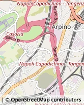 Trasportatori Meccanici,80026Napoli