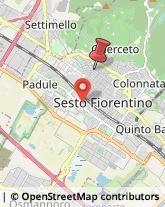 Via Donatello, 54,50019Sesto Fiorentino