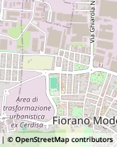 Via G.Verdi, 31,41042Fiorano Modenese