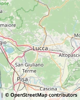 Consulenza di Direzione ed Organizzazione Aziendale,55054Lucca