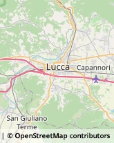 Via Tognetti, 472,55100Lucca