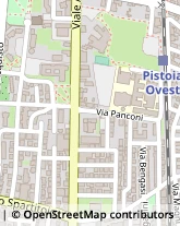 Viale Adua, 66,51100Pistoia