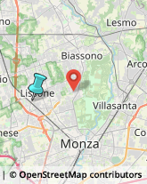 Autotrasporti,20851Monza e Brianza