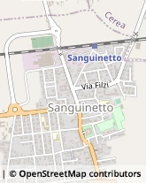 Via Degli Alpini, 50,37058Sanguinetto