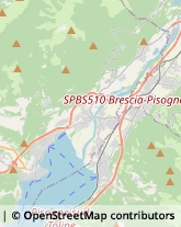 Assicurazioni,25055Brescia