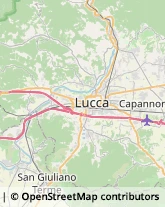 Via Lidice, 7,56017San Giuliano Terme