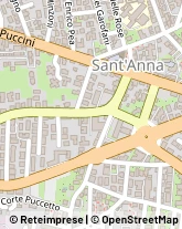 Via Pisana, 99,55100Lucca