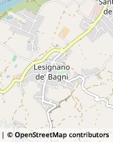 Piazza Luciano Silva, 2/2,43037Lesignano de' Bagni