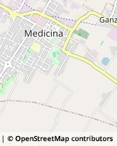 Via Argentesi, 7,40059Medicina