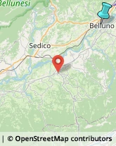 Comuni e Servizi Comunali,32100Belluno