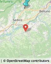 Comuni e Servizi Comunali,32100Belluno