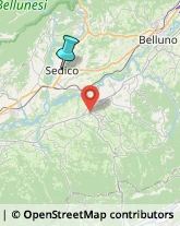 Comuni e Servizi Comunali,32036Belluno