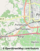 Vendite per Corrispondenza,51100Pistoia