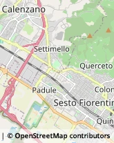 Via Raffaello Sanzio, 55,50019Sesto Fiorentino