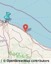 Lenti per Occhiali e Lenti a Contatto - Produzione e Ingrosso,70122Bari