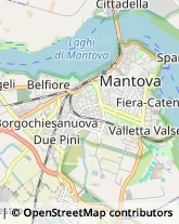 Liquori - Vendita,46100Mantova