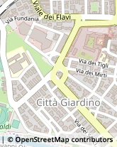 Viale Cesare Verani, 20,02100Rieti