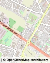 Viale della repubblica, 276,59100Prato