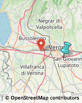 Disinfezione, Disinfestazione e Derattizzazione,37057Verona