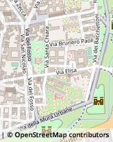 Via S. Nicolao, 65,55100Lucca