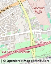 Via Giuseppe Donati, 160,00159Roma