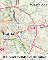 Via Pagani, 85,00132Roma