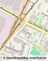 Via Onorato Vigliani, 4,10135Torino